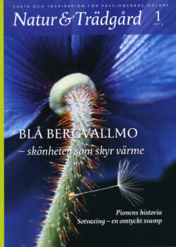 Natur & Trädgård Nr 1 - 2013