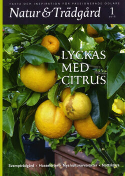 Natur & Trädgård Nr 1 - 2016