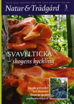 Natur & Trädgård Nr 3 - 2012
