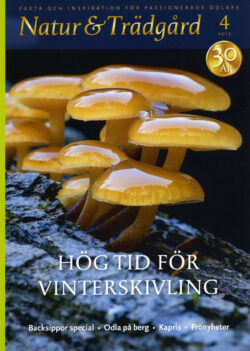 Natur & Trädgård Nr 4 - 2015