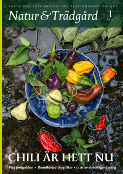 Natur & Trädgård Nr 1 - 2017