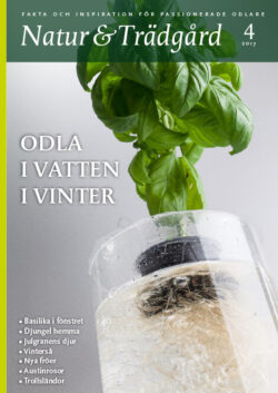 Natur & Trädgård Nr 4 - 2017
