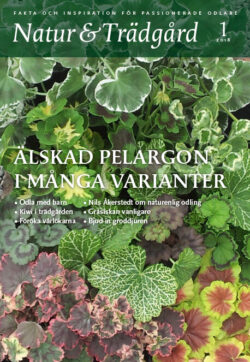 Natur & Trädgård Nr 1 – 2018