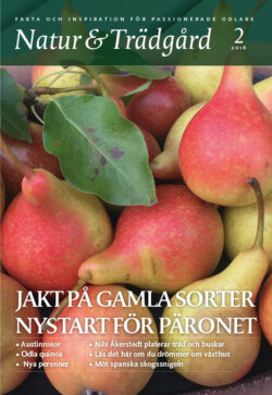 Natur & Trädgård Nr 2 - 2018