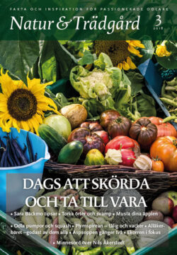 Natur & Trädgård Nr 3 - 2018