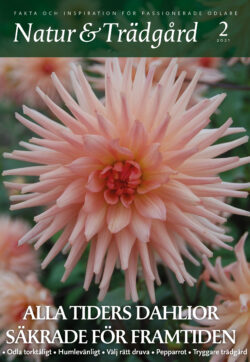 Natur & Trädgård Nr 2 – 2021
