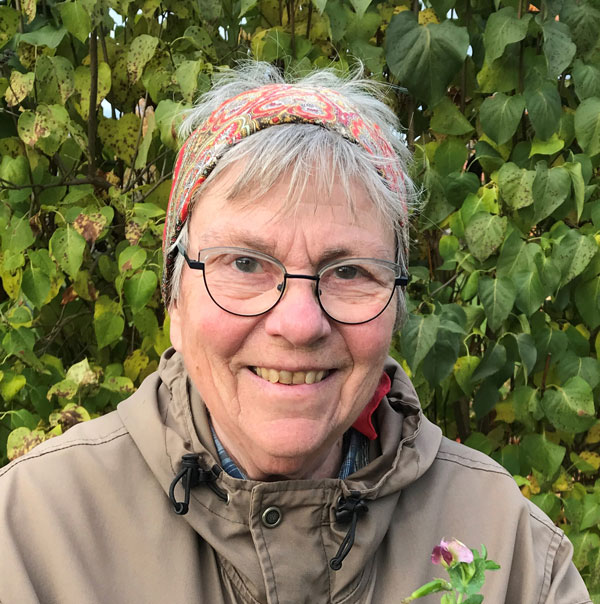 Bild av Agneta Magnusson