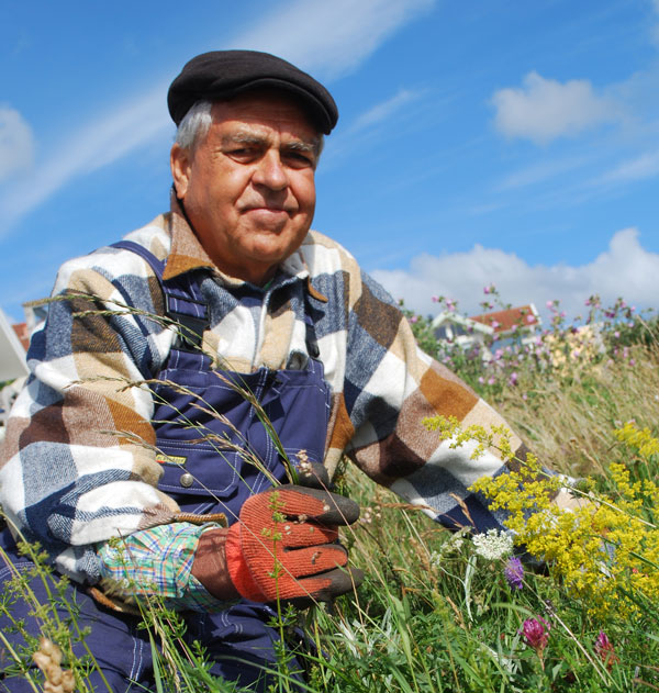 Bild av Gunnar Steineck