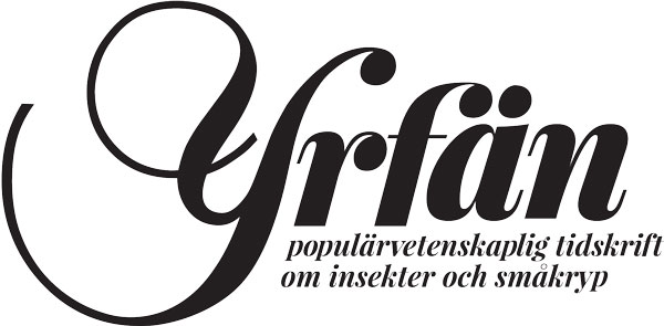 Bild av Yrfän
