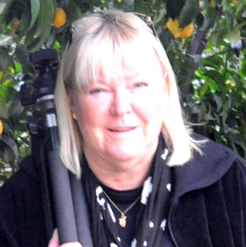 Bild av Eva Rönnblom